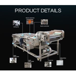 Multifunction Mesh Belt Conveying Fruits Mushroom Vegetable Processing Line