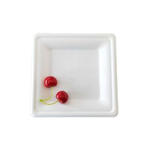 Square Sugarcane Pulp Plates