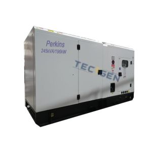 196kW 60Hz Self Start Diesel Generator With 300A Built In ATS