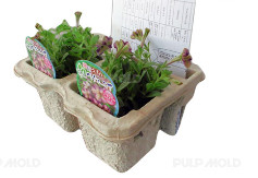 Industrial Package Reciprocating Paper Pulp Molding Egg Tray Forming Machine / 1