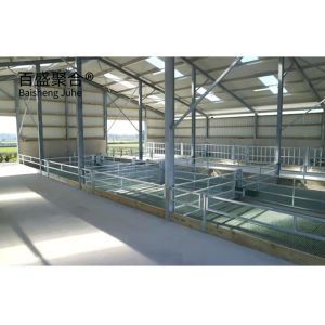 PKPM Drawing Design Fast Construction Light Steel Structure Cattle Cow Goat