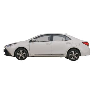 2023 Newest Model Long Range Pure Electric Car for Adults MHEV Energy Type TO