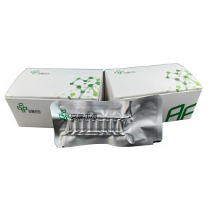 Wholesale 48 Tests / Box 5-20mins High Sensitivity RNA Amplification Kit from china suppliers