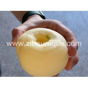 Video Technical Support for and Industrial Electric Apple Peeler Corer Slicer