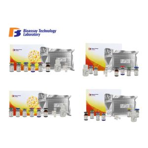 Buy cheap Rat Fbg ELISA Test Kit Fibrinogen Immunoassays Test Kit With High Sensitivity from wholesalers