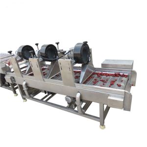 Industrial Fruit Vegetable Processing Machine Orange Mango Cleaning Drying
