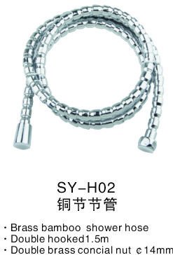 Brass Bamboo Shower Hose