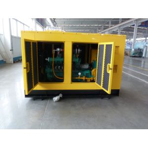 20kw 50kw CHP Biogas Generator with Silent Soundproof Canopy