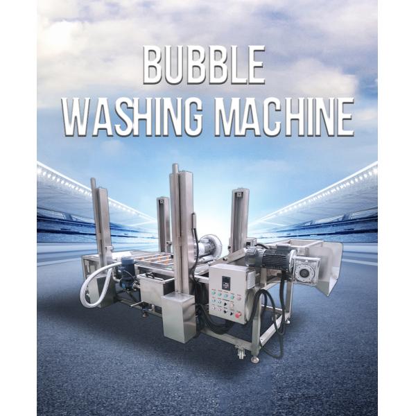 Versatile Automatic Vegetable and Fruit Bubble Cleaning Machine with Custom Options