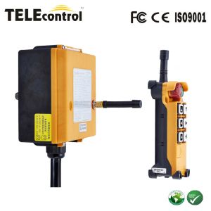 With 7 function buttons(6 double speed and 1 single speed)) + E-stop+ Hoist