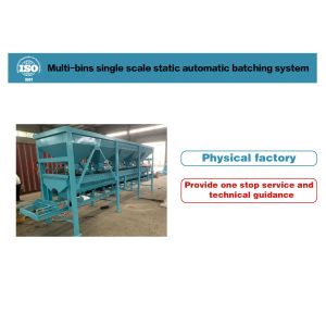 1T/h Automatic Batching System with 50L Hopper and PLC Control