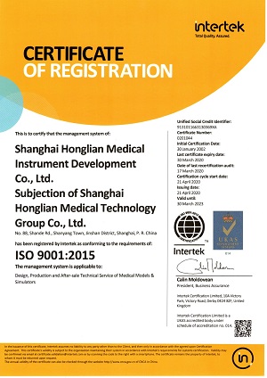 Transparent Intramuscular Injection Training Buttocks