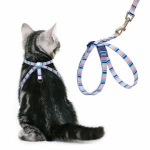 Eco Friendly Cat Harness And Leash Set Figure 8 Style For Outdoor Safety Walking