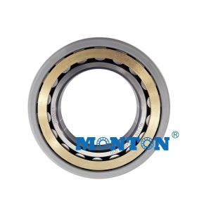 Hybrid Insulated Motor Bearings with ceramic rolling elements