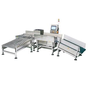 High Speed Conveyor Weight Checker For Big Package Bag / Automatic Weighting