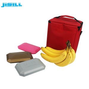 Irregular Shape Fan Ice Pack Freezer Ice Blocks Food Safe Plastic Material