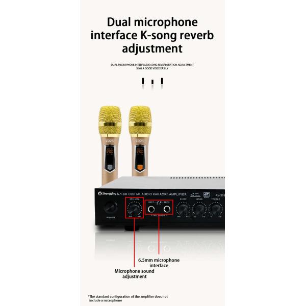 KTV Home Theatre System Professional Amplifier Board with 2 Mic Inputs and LDZS 5.1 Channel Nobsound Stereo Mixer
