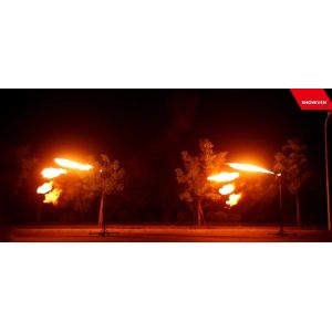 210Degree 60ml/S Indoor flame Machine For Stage new effects