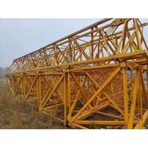 Zoomlion 6013-6 Tower Crane Assembled Discounted Ready for Your Construction