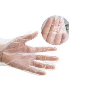 China Biodegradable Disposable Gloves , Disposable Plastic Gloves OEM / ODM Available on sale