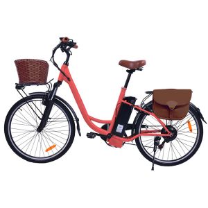 Steel Frame Cargo E Bike Multiapplication 120kg Maximum Loading