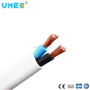 PVC Insulated Flat Wire Third Party Inspection Accepted Bulk TPS Electrical