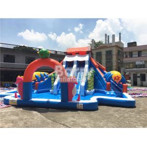 House Shaped Slide Portable Inflatable Water Park Aquapark inflatable water