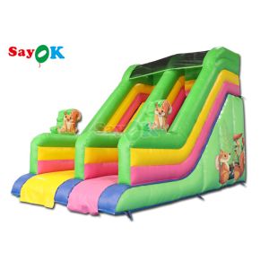 Commercial Grade Inflatable Water Slide Custom Rainbow Inflatable Slide