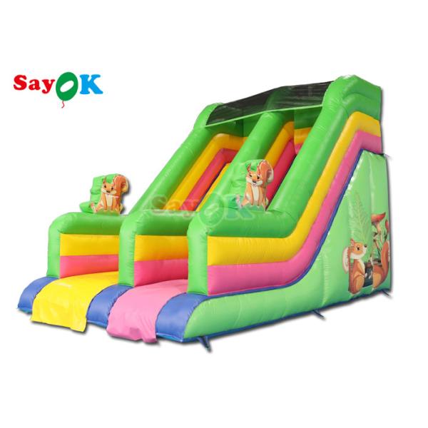 Commercial Grade Inflatable Water Slide Custom Rainbow Inflatable Slide