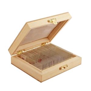 Biological Microscope Prepared Slides 25Pcs For Science Education