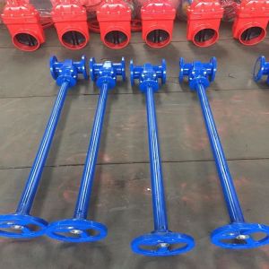 Wholesale GGG40 Extension Spindle Gate Valve PN10 Gate Valve With Extended Stem from china suppliers