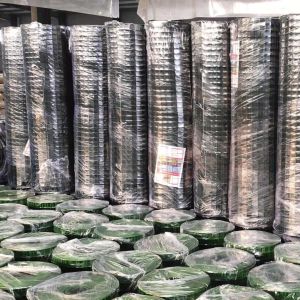 Ole Electro Hot Dipped Galvanized Welded Wire Mesh 16 Gauge