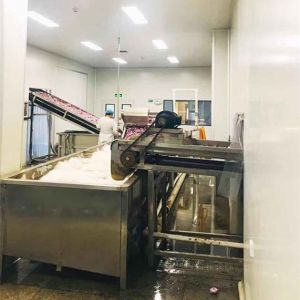 HALAL 80mesh 120mesh Dehydrated Garlic Powder In Low Bac