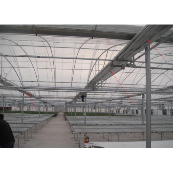 12m Span Gutter Connected Venlo Tempered Glass Greenhouse For Flowers 12x10 12x12 12x14