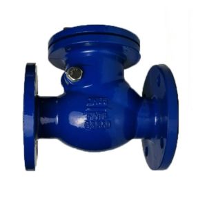 Customizable Ductile Cast Swing Type Check Valve CUSTOMIZED Port Size Selection