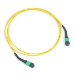 12/24/48/96/144 cores LC SC FC MPO MTP Trunk Cable Jumper Fiber Optic Patchcord