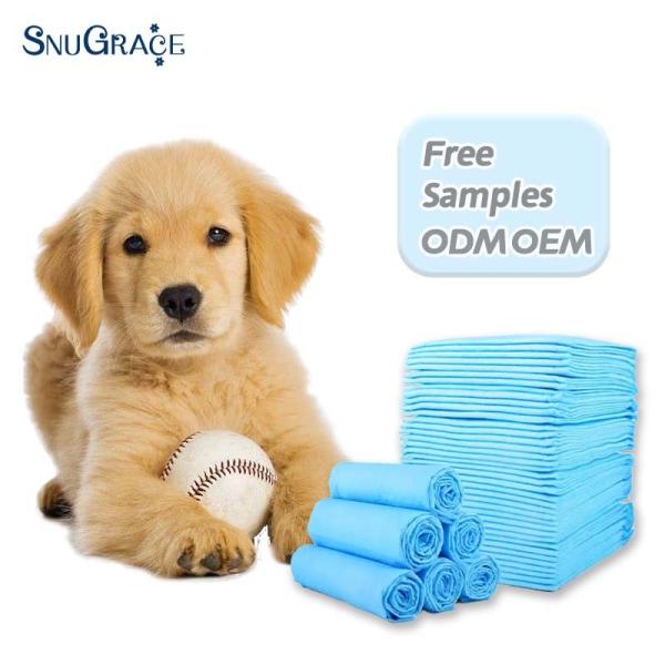 Quality 2023 Eco Friendly Dog Pad Puppy Training Pads for Disposable Pet Puppy Dog Pee Training for sale