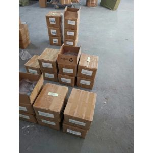 10-Piece Gecko King 2018 Rock Climbing Wall Holds in Different Colors for