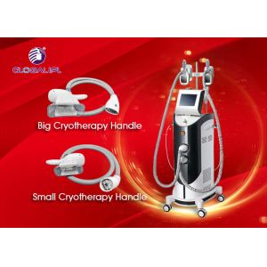 Wholesale 40KHZ Cryolipolysis Body Slimming Machine / Fat Removal Rf Cavitation Machine from china suppliers
