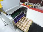 Poultry Husbandry Eggs Inkjet Date Coder Machine To Prevent Counterfeiting
