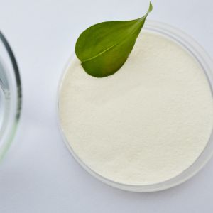 Wholesale Konjac Root Extract Coffee Pudding Milk Chocolate Glucomannan Food Additive from china suppliers