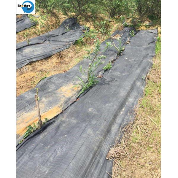 Heavy Duty Landscape Weed Control Fabric with Gardening Weed Blocker Barrier Ground Cover