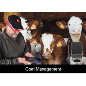 Wholesale RFID Reader Function of Industrial PDA with Bluetooth,GPS,Wifi from china suppliers