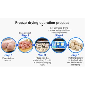 Small Lyophilizer Freeze Dryer Toption Freeze Drying And Lyophilization