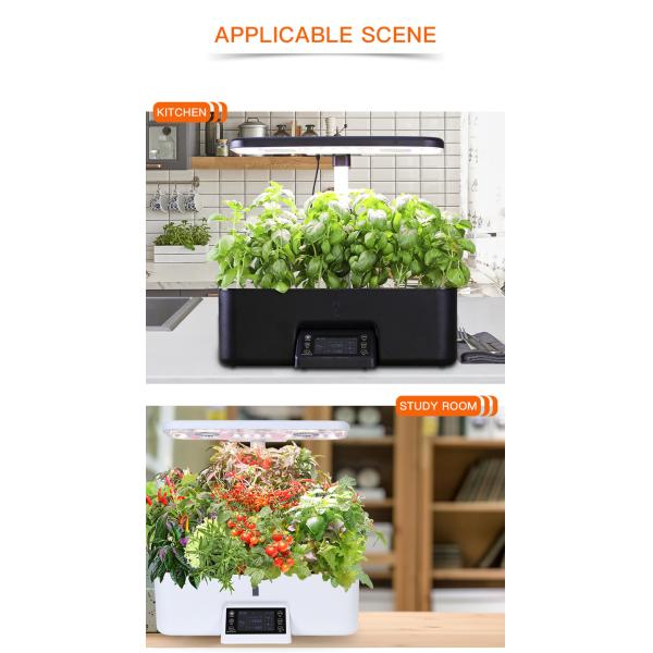 Timer Function Enabled Intelligent Hydroponic Planter in White Powered by