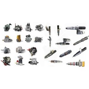 HongKong Real Strength CO.,LTD.