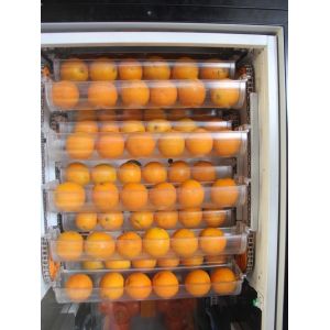 Electric Freshly Squeezed Orange Juice Vending Machines With LED Display Screen