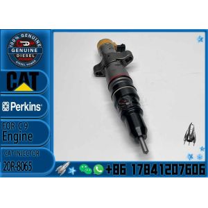 China C7 C9 Diesel fuel injector 293-4073 20R-8065 10R-7223 10R-4764 10R-2828 10R-4844 328-2573 553-2592  for excavator on sale