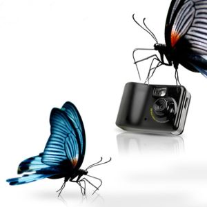 Wholesale Motion Detection Car Mini DVR Recorder With Web Camera 1280 * 960 High - Resolution from china suppliers