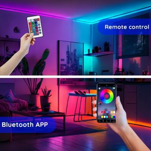 5M 10M 15M 20M 30M LED Strip Light with RGB Colors Controlled by Alexa and
